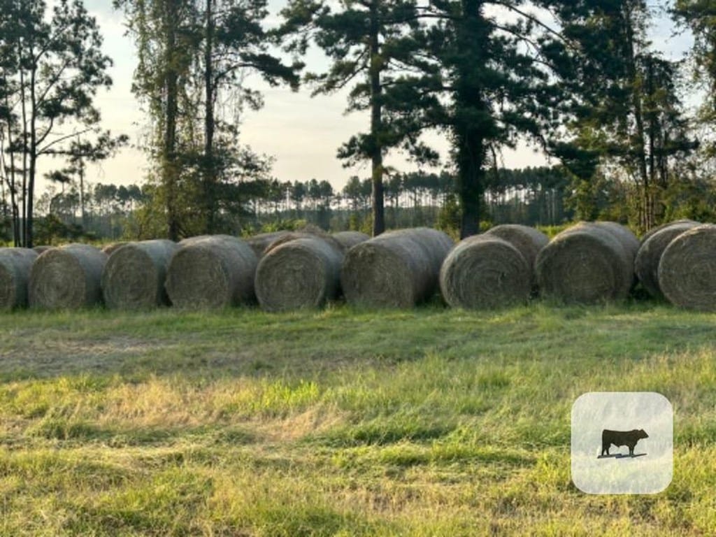 500 Bahia/Bermuda Grass Round Bales